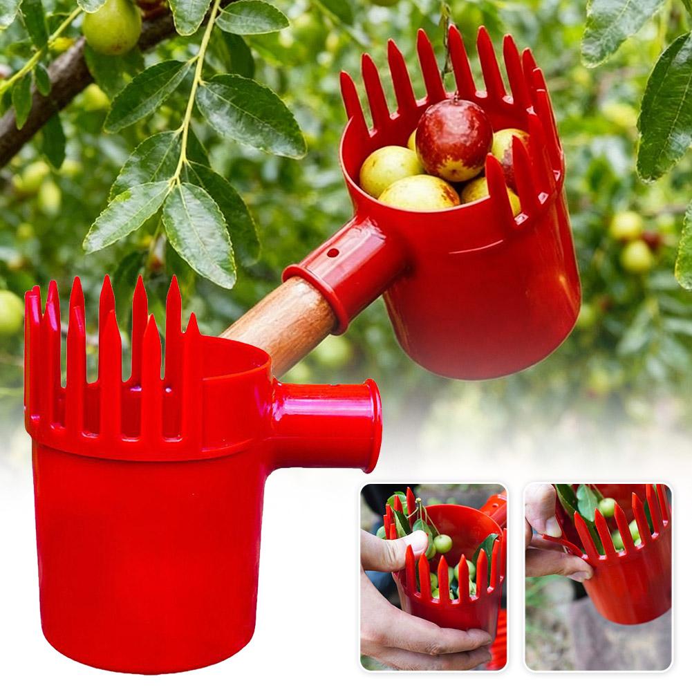 Agriculture Tomato Farming - เครื่องมือเก็บผลไม้ขนาดเล็ก 1 ชิ้น แบบพกพา สำหรับเก็บเชอร์รี่ มะเขือเทศ
