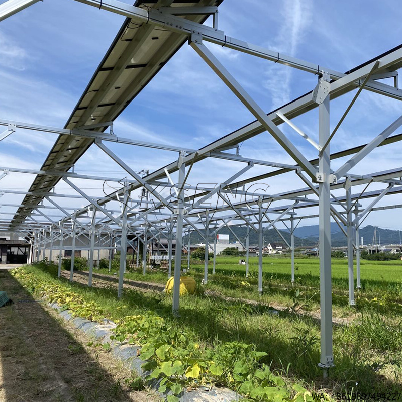 Agriculture Farming In Japan - ระบบติดตั้งแผงโซลาร์เซลล์อะลูมิเนียมสำหรับการเกษตรแบบใหม่ของญี่ปุ่น เพื่อผลิตพลังงานและอาหารอย่างยั่งยืน