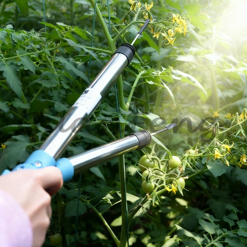เครื่องสั่นสะเทือนไฟฟ้า 220V‑5 - Agriculture Tomato Farming บทวิจารณ์และราคา