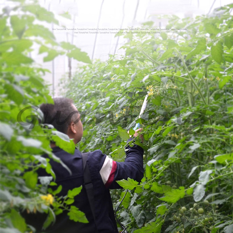 เครื่องสั่นสะเทือนไฟฟ้า 220V‑5 - Agriculture Tomato Farming บทวิจารณ์และราคา