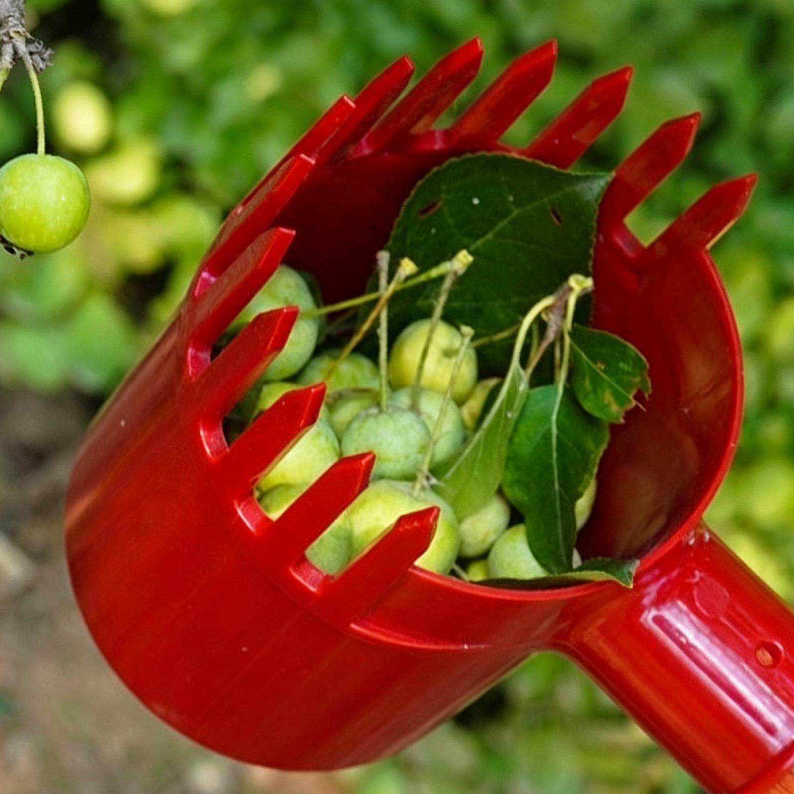 เครื่องมือเก็บผลไม้แบบพกพา สำห - Agriculture Tomato Farming บทวิจารณ์และราคา