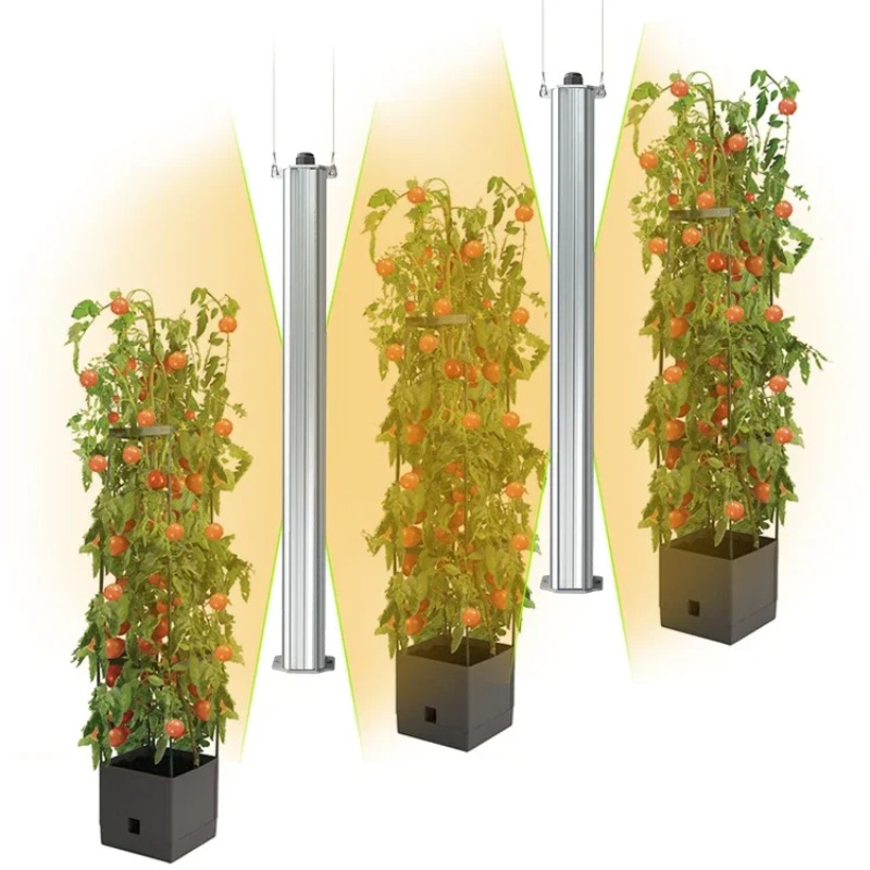 ระบบปลูกผักแนวตั้งแบบไฮโดรโปนิ - Agriculture Tomato Farming บทวิจารณ์และราคา