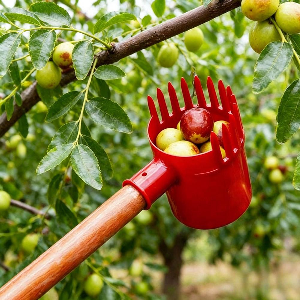 เครื่องมือเก็บผลไม้ขนาดเล็ก 1  - Agriculture Tomato Farming บทวิจารณ์และราคา