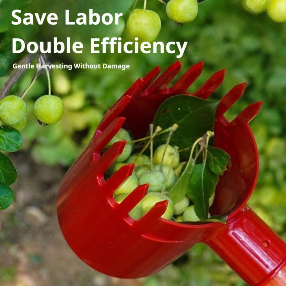 เครื่องมือเก็บผลไม้ขนาดเล็ก 1  - Agriculture Tomato Farming บทวิจารณ์และราคา