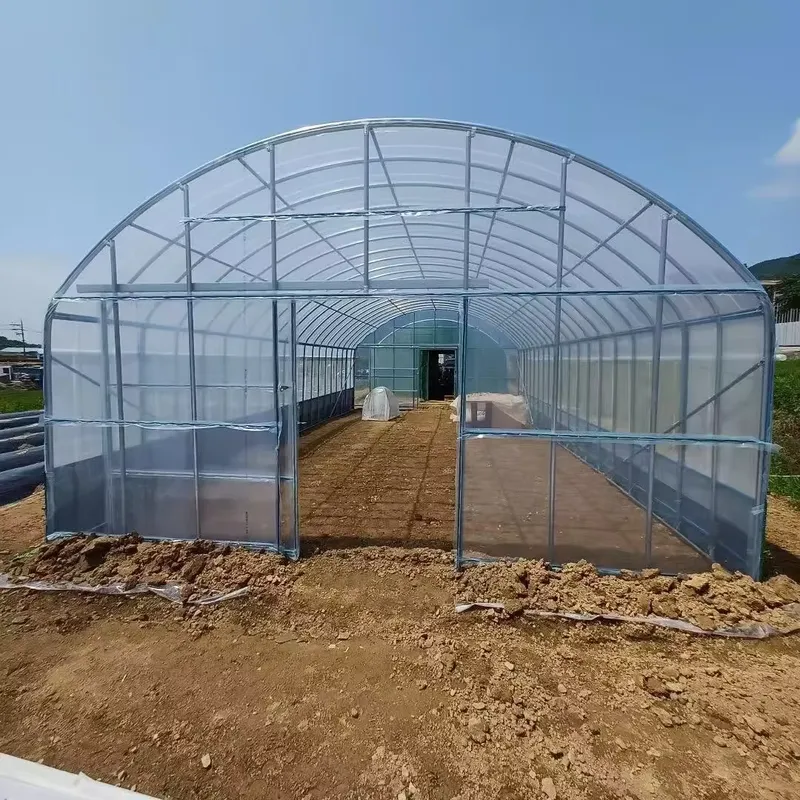 โรงเรือนเกษตรแบบช่วงเดี่ยวและโ - Agriculture Tomato Farming บทวิจารณ์และราคา