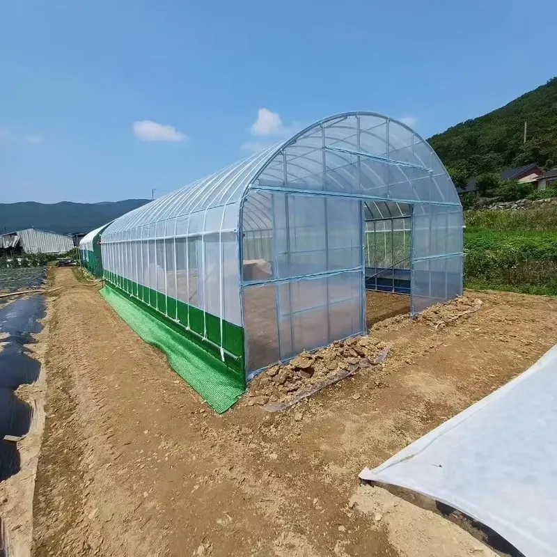 โรงเรือนเกษตรแบบช่วงเดี่ยวและโ - Agriculture Tomato Farming บทวิจารณ์และราคา