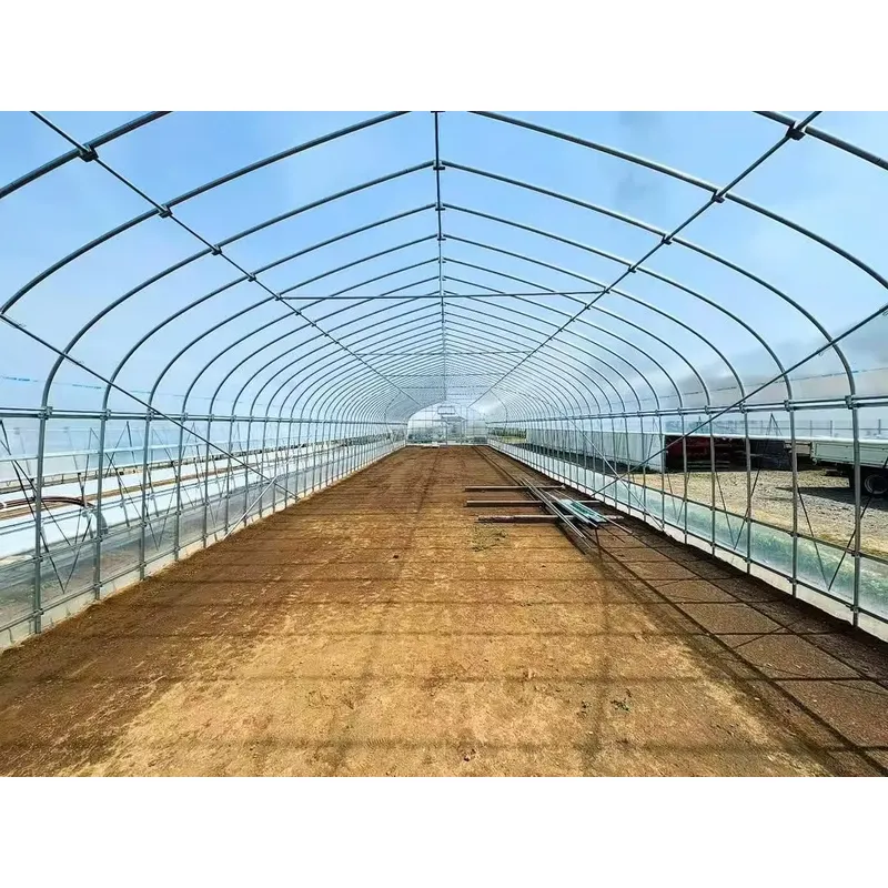โรงเรือนเกษตรแบบช่วงเดี่ยวและโ - Agriculture Tomato Farming บทวิจารณ์และราคา