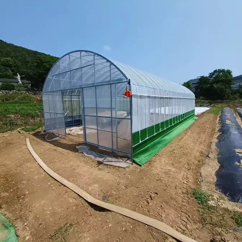 โรงเรือนเกษตรแบบช่วงเดี่ยวและโ - Agriculture Tomato Farming บทวิจารณ์และราคา